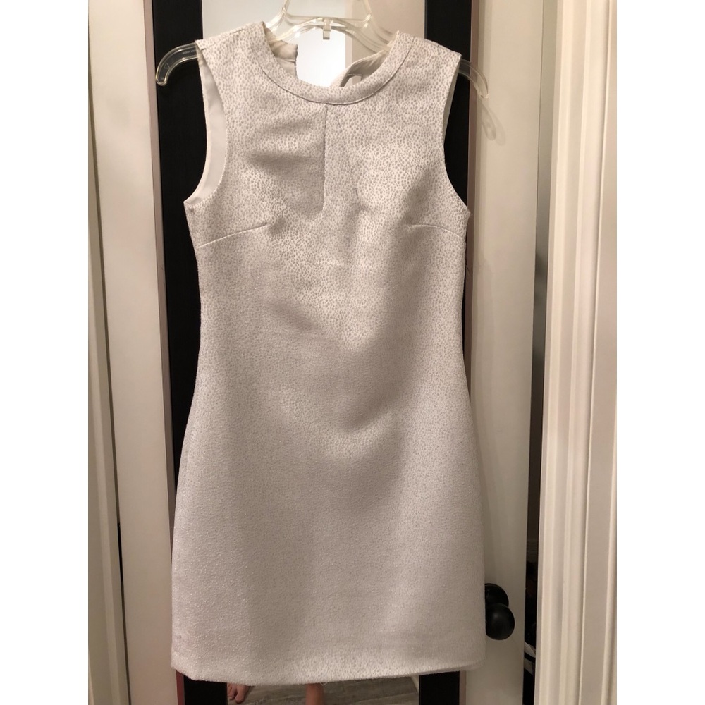 Elegant silver H&M dress. ✨